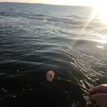 Bestatten leicht gemacht - Muster Bestatter - 1