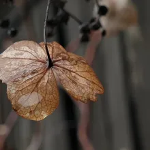 Bestatten leicht gemacht - Muster Bestatter - 1